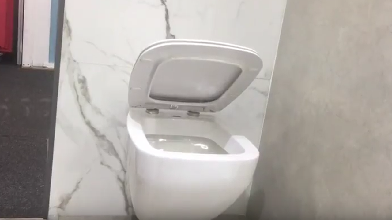 WOMAG soft close toilet