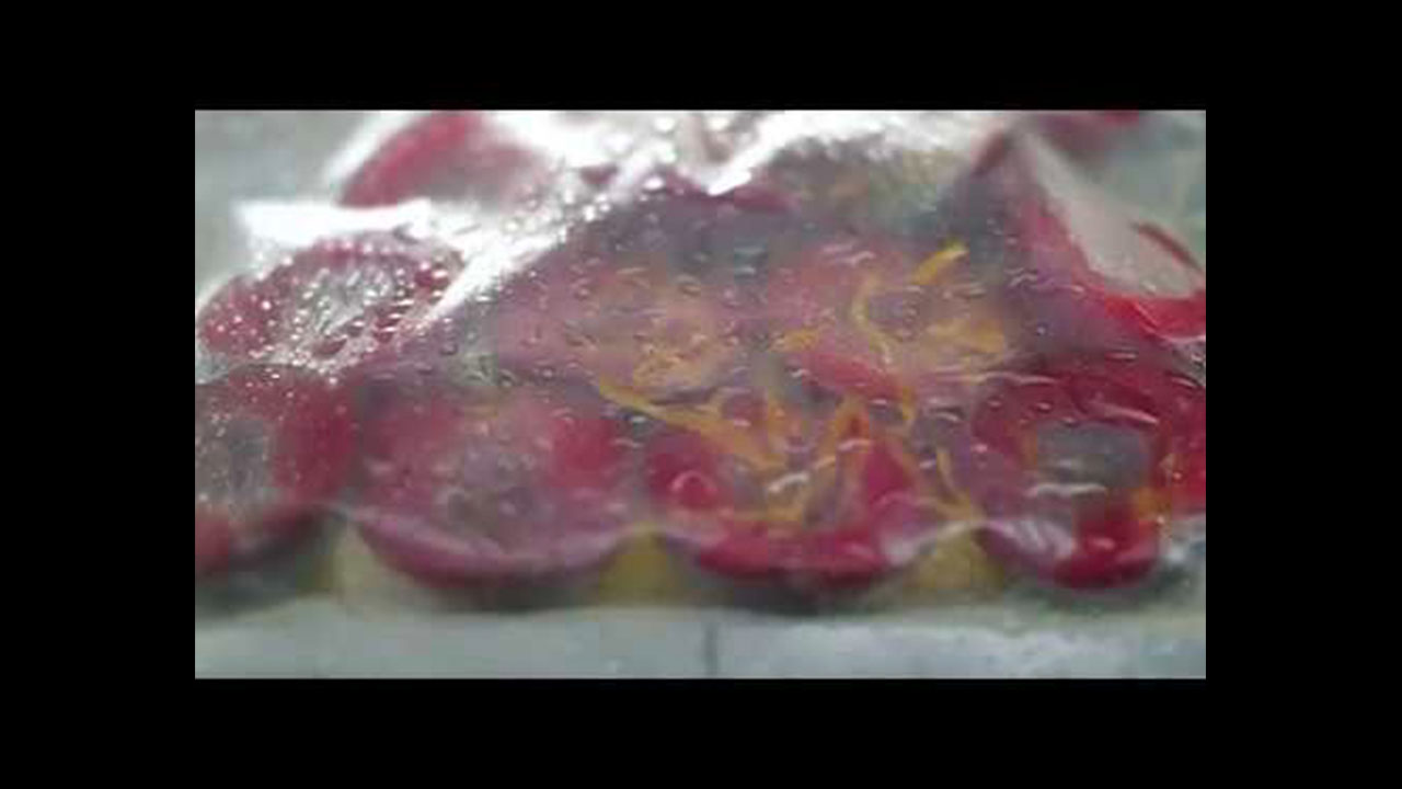 Vacuum Sealing Drawer for Sous Vide Cooking