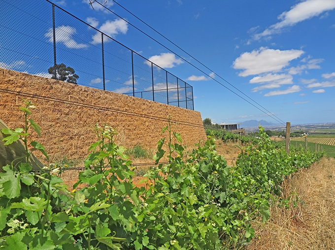 plants and a retaining wall with concrete blocks
