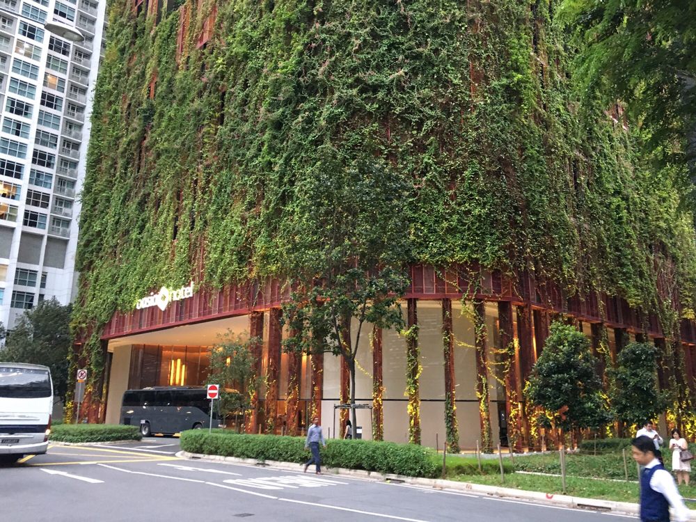 Vegetation growing on skyscraper facade