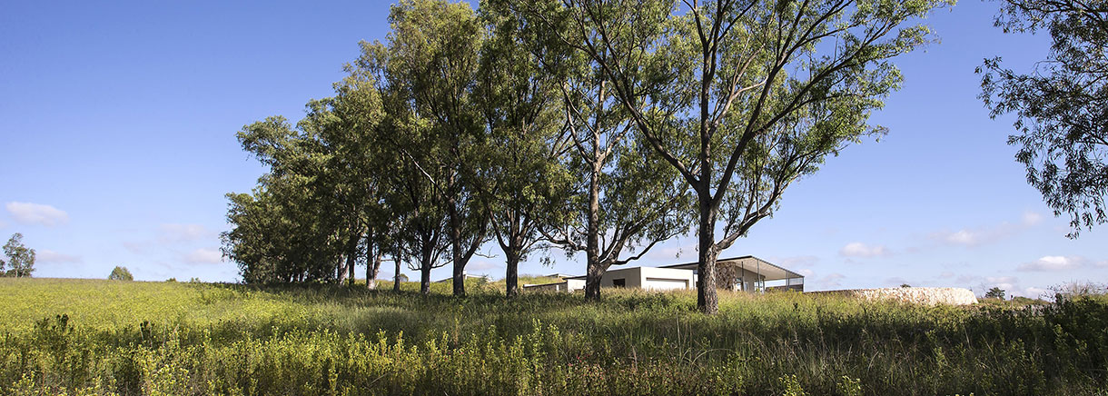 Plant cuts reliance on municipal water by 30%