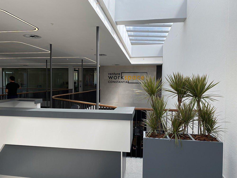 Noisy Offices no more