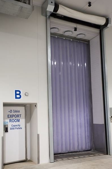 Cold storage door seals