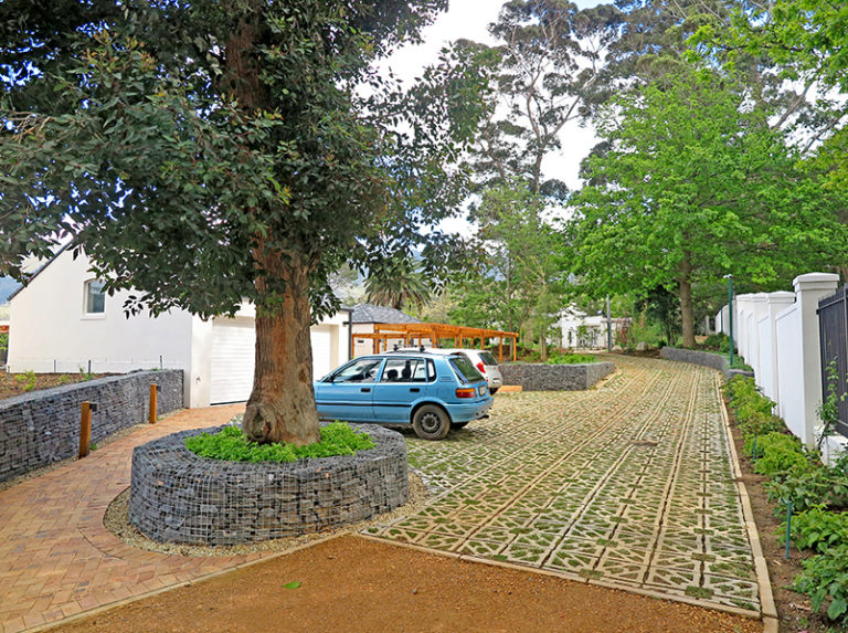 How to create a green eco-surface with Terracrete