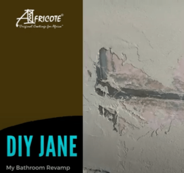 DIY Jane - Bathroom Revamp 3