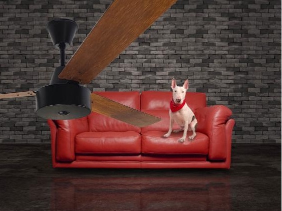 Ways to improve indoor air circulation